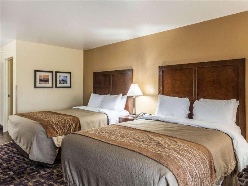 Comfort Inn & Suites North Aurora - Naperville Bagian luar foto