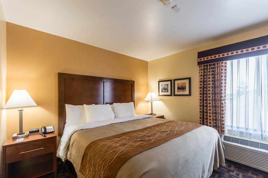 Comfort Inn & Suites North Aurora - Naperville Bagian luar foto