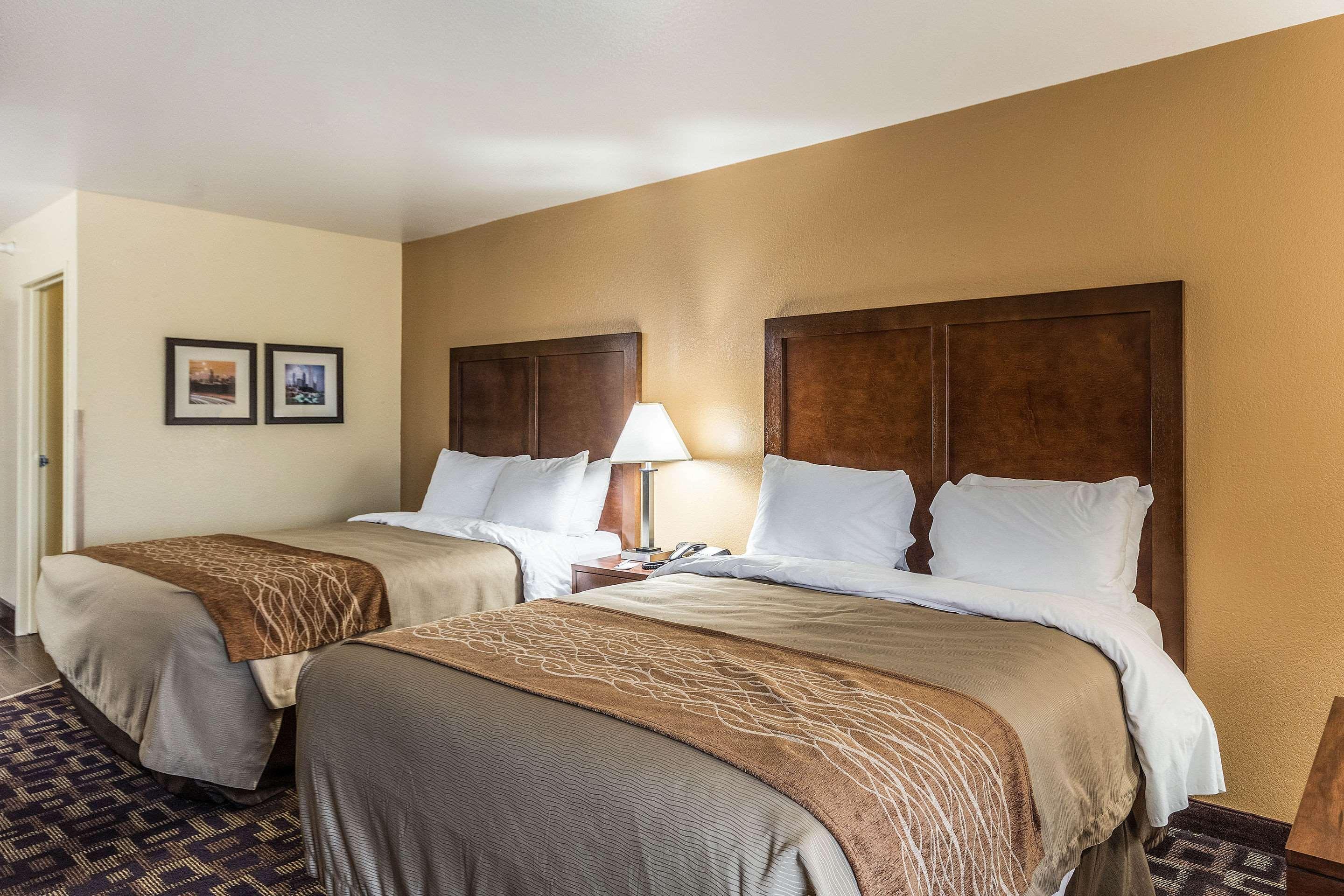 Comfort Inn & Suites North Aurora - Naperville Bagian luar foto